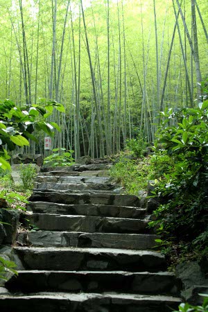 Parque del Tigre Corredor, Hangzhou, Zhejiang, China 2