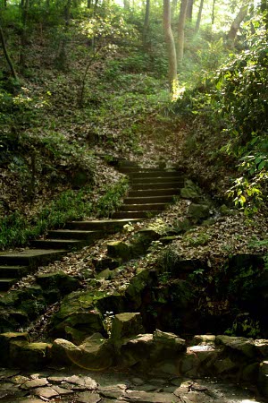 Parque del Tigre Corredor, Hangzhou, Zhejiang, China 🗺️ Foro China, el Tíbet y Taiwán 1