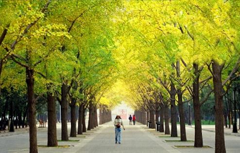 Parque Ditan, Beijing, China 2