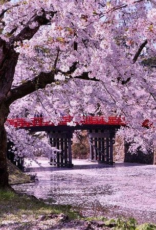 Parque Hirosaki, Aomori, Japón 1