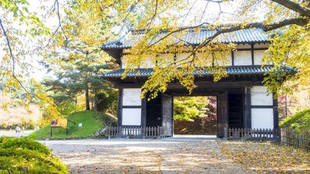 Parque Hirosaki, Aomori, Japón 🗺️ Foro Asia 1