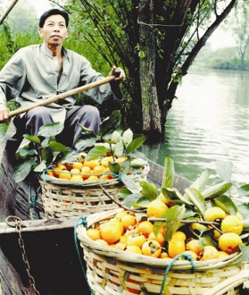 Parque Humedal Xixi, Zhejiang, China 1