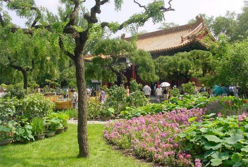 Parque Jingshan, Beijing, China 2