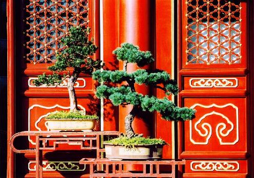 Parque Jingshan, Beijing, China 2