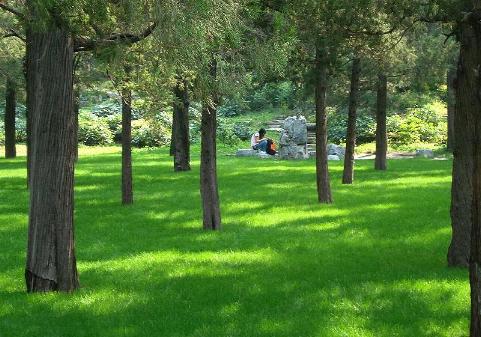 Parque Jingshan, Beijing, China 0