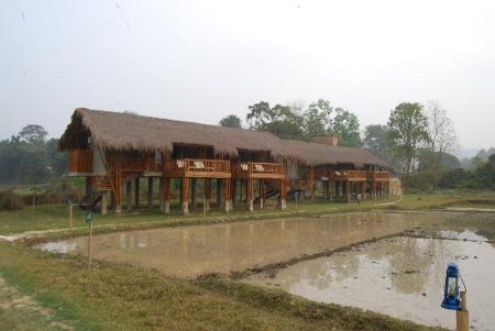 Parque Nacional Kazirang, Assam, India 0