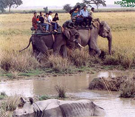 Parque Nacional Kazirang, Assam, India 1