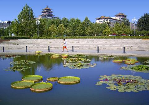 Parque Lianhuachi Lotus, Beijing, China 0