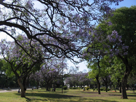 Parque Los Andes, Buenos Aires, Argentina 1