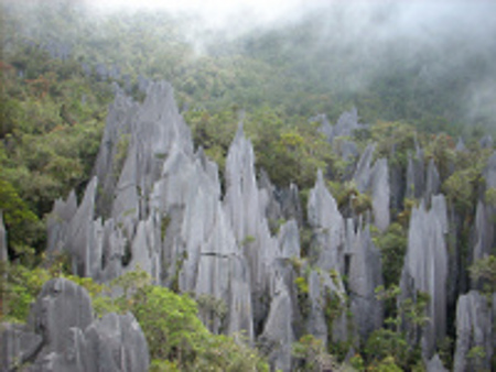 Parque Naciona Gunung Mulu, Miri, Sarawak, Malasia 0