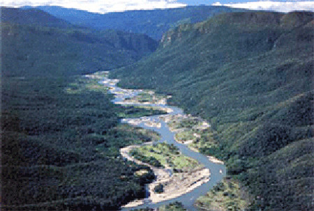 Parque Nacional Madidi, La Paz, Bolivia 🗺️ Foro América del Sur y Centroamérica 1