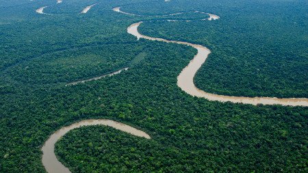 Parque Nacional Yaguas, Peru 1