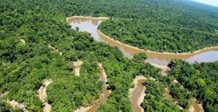 Parque Nacional Yaguas, Peru 0