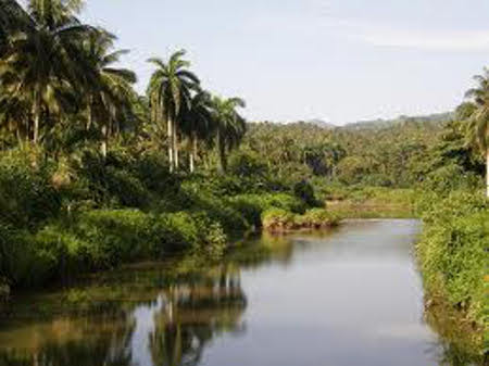 Parque nacional Alejandro Von Humboldt, Guantanamo, Cuba 🗺️ Foro Clima, Naturaleza, Ecologia y Medio Ambiente 0
