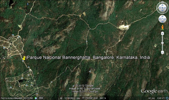 parque nacional bannerghatta, bangalore, karnataka, india3.jpg
