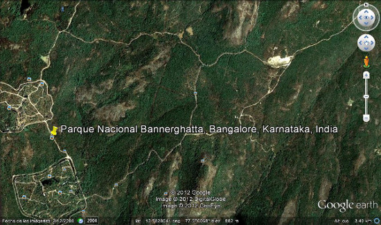 Parque Nacional Bannerghatta, Bangalore, Karnataka, India 🗺️ Foro Asia 2