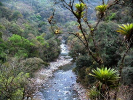 Parque Nacional Baritú, Salta, Argentina 🗺️ Foro América del Sur y Centroamérica 1