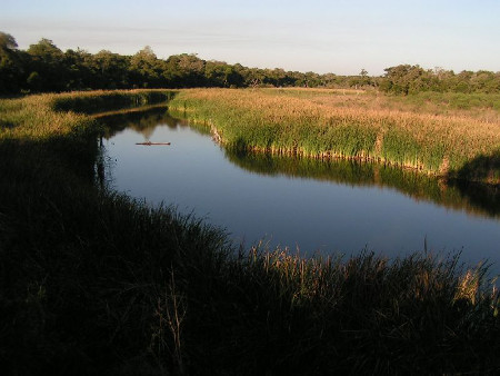 Parque Nacional Chaco, Chaco, Argentina 1