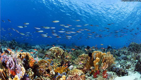 Parque Nacional de Komodo, Indonesia 1