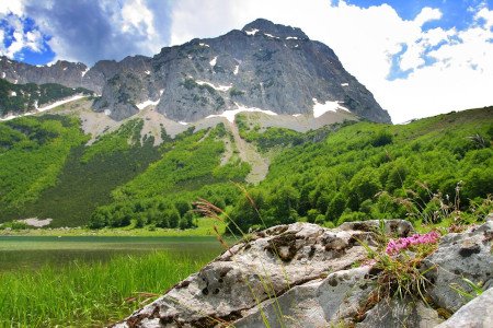 Parque nacional de Sutjeska, Bosnia y Herzegovina 0