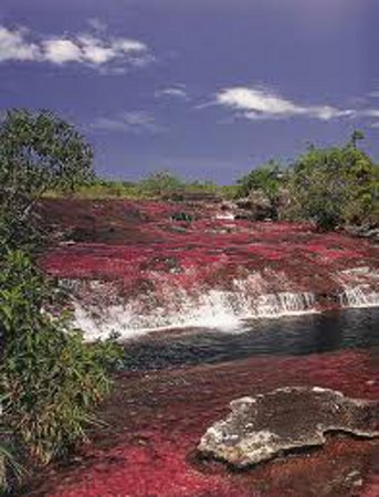 Parque Nacional de Tayrona, Colombia 1