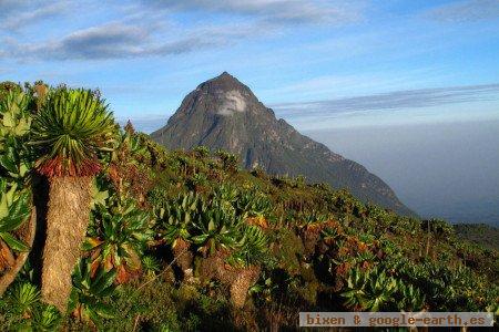 Parque Nacional de Virunga, República Democrática del Congo 🗺️ Foro África 1