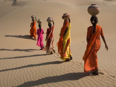 Parque Nacional del Desierto, Rajasthan, India 0