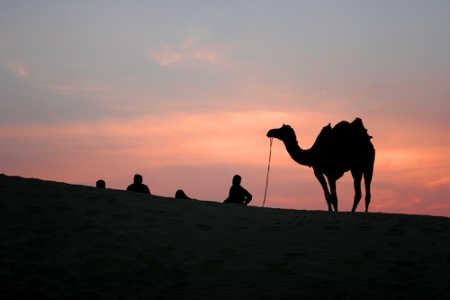 Parque Nacional del Desierto de Jaisalmer, Rajastán, India 0