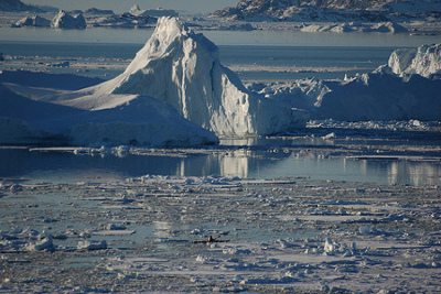 Parque Nacional del Noreste de Groenlandia 1