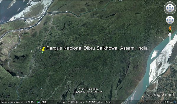 Parque Nacional Dibru Saikhowa, Assam, India 🗺️ Foro Asia 2