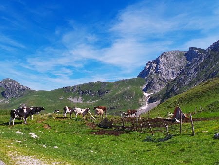 Parque Nacional Durmitor, Zablak, Montenegro 🗺️ Foro Europa 1