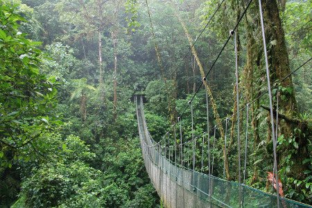 Parque Nacional Volcán Arenal, Costa Rica 1