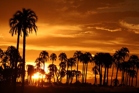 Parque Nacional El Palmar, Entre Rios, Argentina 0