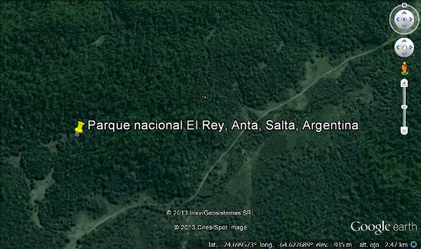 Parque nacional El Rey, Anta, Salta, Argentina 🗺️ Foro América del Sur y Centroamérica 2