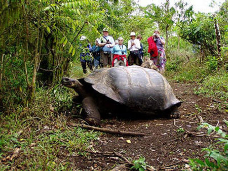 Parque Nacional Galápagos, Islas Galápagos 🗺️ Foro América del Sur y Centroamérica 1