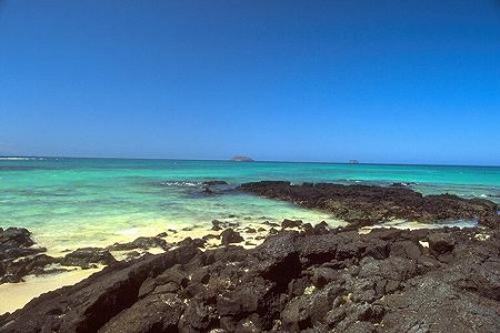 Parque Nacional Galápagos, Islas Galápagos 🗺️ Foro América del Sur y Centroamérica 0