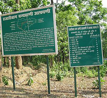 Parque Nacional Hazaribagh, Yárjand, India 1