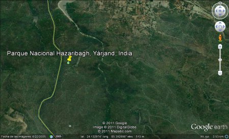 Parque Nacional Hazaribagh, Yárjand, India 🗺️ Foro Asia 2