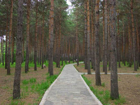 Parque Nacional Jingyue, Changchun, Jilin, China 🗺️ Foro China, el Tíbet y Taiwán 1