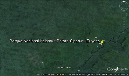 Parque Nacional Kaieteur, Potaro-Siparuni, Guyana 2