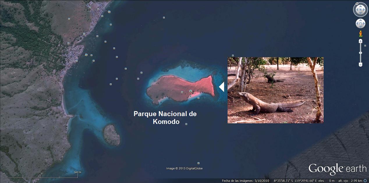 Un pez rosa en una bahia 🗺️ Foro General de Google Earth 0