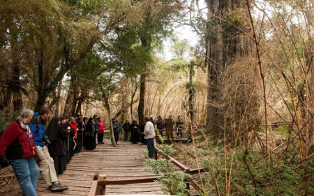 Parque Nacional Los Alerces, Chubut, Argentina 🗺️ Foro América del Sur y Centroamérica 0