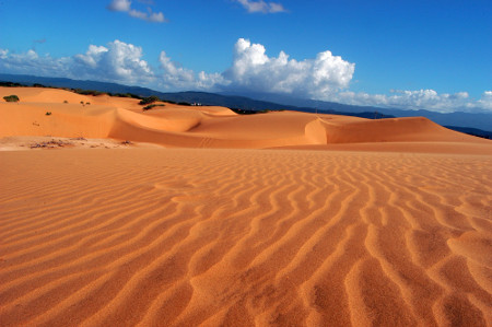 Parque Nacional Médanos de Coro, Falcón, Venezuela 0