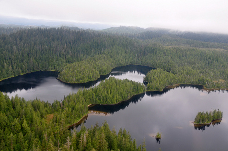 Parque Nacional Misty Fiords, Alaska, EEUU 0