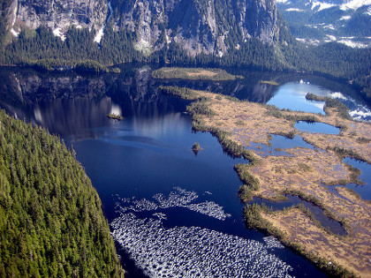 Parque Nacional Misty Fiords, Alaska, EEUU 1