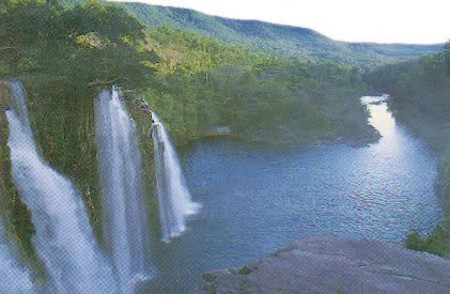 Parque Nacional Noel Kempff Mercado, Santa Cruz, Bolivia 🗺️ Foro América del Sur y Centroamérica 1