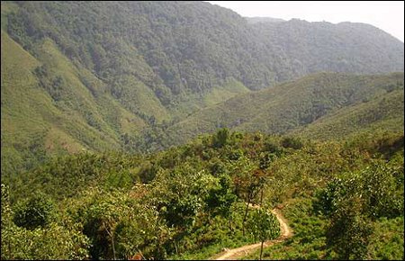 Parque Nacional Nokrek, Meqhalaya, India 🗺️ Foro Asia 0