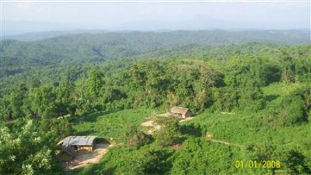 Parque Nacional Nokrek, Meqhalaya, India 1