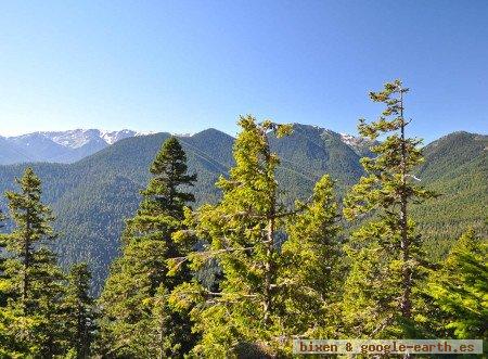 Parque Nacional Olympic, Washington, EE. UU. 1