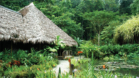 Parque Nacional Piedras Blancas, Costa Rica 1